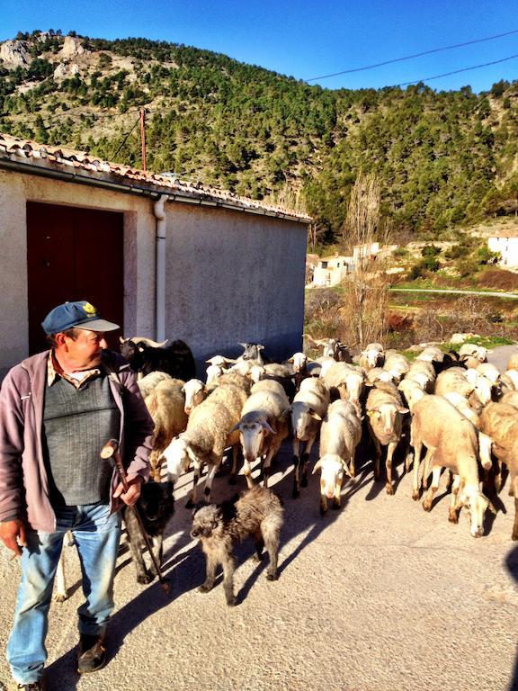 Bogarra Casas Rurales Vegasierra المظهر الخارجي الصورة