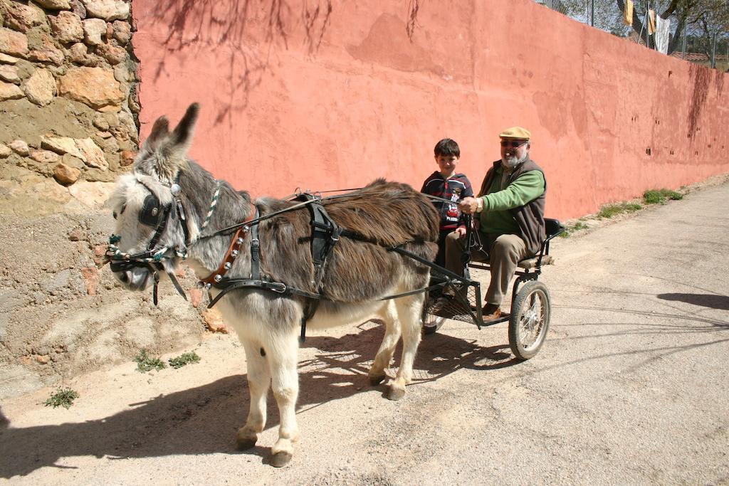 Bogarra Casas Rurales Vegasierra المظهر الخارجي الصورة